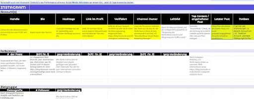 plattformspezifische Tabs einer Social-Media-Audit-Tabelle