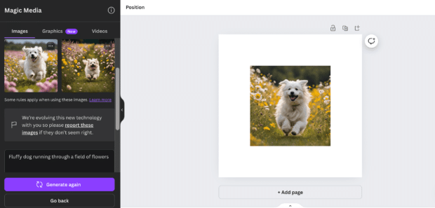 Canva AI tool Magic Media image of dog